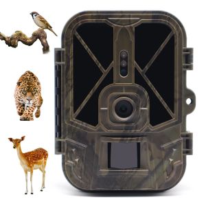 Câmeras Suntekcam Wildlife Trail câmeras 50mp 4k IP65 Câmera de caça HC940A 10*AA Battery Night Vision Photo Photo