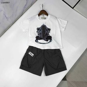 Popular baby tracksuits Summer boys two-piece set kids designer clothes Size 90-150 CM Elephant print T-shirt and shorts 24April