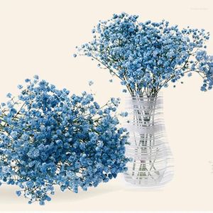 Dekoratif çiçekler, bir grup doğal A-Dereceli Çingene Gypsophila başına 75 gram, ev dekor için