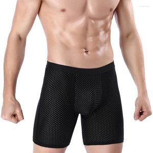 Underpants Mens Shorts Ice Silk Cool Comfort Breathable Mesh Long Leg Brief Viscose Underwear For Men Pants Fitness Gift