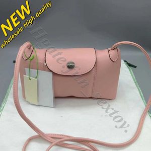 Wang Handbag Luxury Wallet Clearance Ziwen Retail Sac Wholesale Jour Bolso Dumpling Squareshoulder Small Cross-body Bag the Same Lamb Skin CTE0