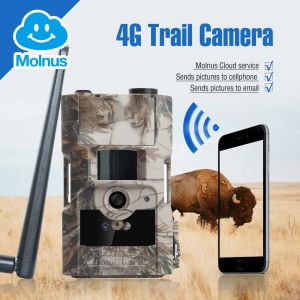 Kameror BolyGuard Ly54k24M Hunting Trail Camera 4G Wild Camera 24m Molnus 90ft Night Vision Photo Trap Scout Camera Fototrappola Camara