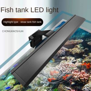 Borstar akvarium fluorescerande fixtur Fishbowl Clip Lamp 1055 cm belysning Aquatic Plants Natural Blue White and 3 Color Switch 514w