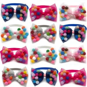 Abbigliamento per cani animali all'ingrosso Colorful Bow Coetsing Accessori per cuccioli Stile per cucciolo Collare