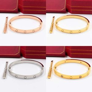 Altın kaplamalı unisex titanyum çelik vida bilekliği, Kristal Çerçeve ile Tasarımcı Charm Bangle, zarif mücevher hediyesi