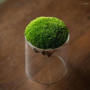 Vasos cilindro de vidro limpo para peças centrais de casamento vaso de planta moderna flor simples jinners formais decoração de casa
