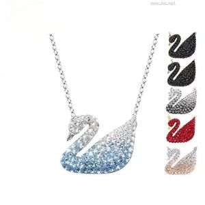 Swarovski Designer Jewelry Woman cigno cigno gradiente cristallo diamante squisito catena di clavicole Accessori Edizione originale Edizione originale Box 5724