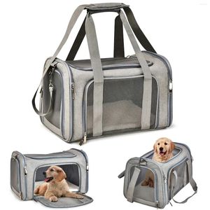 Hundbärare 1 PC Portable Pet Bag Fällbara andningsbara hundar Ryggsäckväskor för små och medelstora katter utgående reseväskor