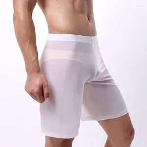 Underbyxor män u konvexa mesh ihåliga ut långa boxare andningsbara ultratunna boxershorts sexiga transparenta underkläder fritidsslitage pyjamas