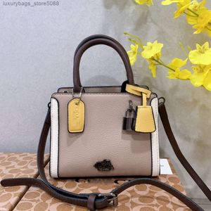 BASSO DI MARCHIO DELLA HANDBAGGAGGI DESIGNER LUSSO NUOVA BASSO DEI CEMINI DI CEMINITÀ CEMELITÀ CEMELITÀ CEMERICA DELLA SCARICA SETTA CHIEDA HASCHI