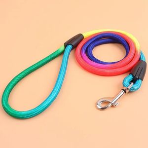 Nylon Rainbow di nylon durevole 1,2 m cognometro per cani che cammina addestramento guinzaglio gatti cani imbracatura guinzaglio di guinzaglio