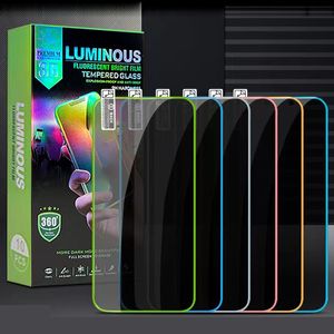 Lysande fluorescerande tempererat glasskärmskyddsnatt glöd i det mörka glödande skyddet för iPhone 15 14 13 12 11 Pro Max XS XR 8 7 6 Plus med 10in1 -paket