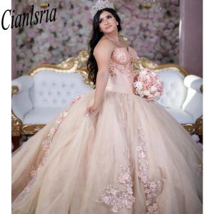 Champagne 2024 Quinceanera Abites Paesaggio 3D Girls Girls Girls Girls da balier Princess 15 16