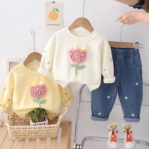 Kleidungsstücke Sets Girls’suit Spring Girls 'Liebesapplikation kleiner Blume runder Hals Pullover Top bestickte Jeans zweiteilige süße Set 0-5 Jahre