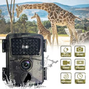 Cameras 20mp 1080p Mini Hunting Cameras Outdoor Wildlife Trail Camcorders Infrared Night Vision Surveillance Camera Ip54 Waterproof