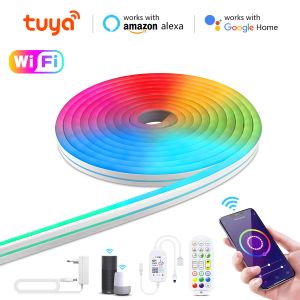 Kontroll Tuya Smart Life Neon LED Strip Light Room Decor 12V RGB WiFi Wireless Control LED -band Smart hemarbete med Alexa Google Home