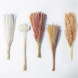 Dekorative Blumen 110pcs getrocknete Pampas Grasdekor natürliche Blumenstrauß Schwänze rustikaler Bauernhaus Hochzeit Boho Haus