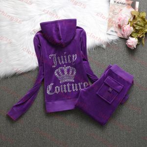 Brand sucules tracksuit designer camisa de tracksuit de traje feminino feminino feminino de traje curto Velvet suculento duas peças de abastecimento esportivo com capuz casual Wear Jo 922