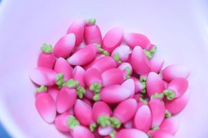 Decorative Flowers 20/50pcs Kawaii Simulation Food Resin Pink Carrots Flatback Cabochon DIY Craft Scrapbooking Accessories Earrings