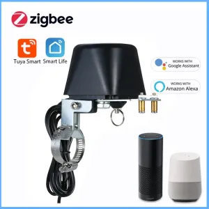 Plugs Tuya Smart ZigBee Water Air Air Vae Ball Switch Socket Modul Remote Timer Fernbedienung Smart Home kompatibel mit Google Home