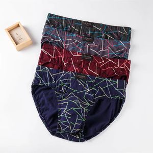 Jieshen Stripe Briefs Sale 4pcs/lote masculino lotes de calça de roupas íntimas de algodão para homens Sexy roupas íntimas 240410