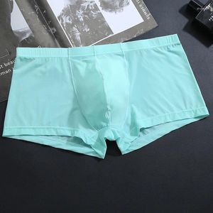 Underbyxor 1st sexiga män underkläder boxare shorts is silk u konvex mjuk manliga mäns cueca homme glider gay