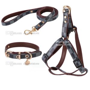 Designer hundkrage och kopplar Set Classic Plaid No Pull Dog Harness Leather Pet Leash For Small Dogs Cat Chihuahua Poodle 7 Color Partihandel M B36