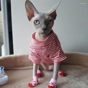 Kedi Kostümleri Sfenks Giysileri Sonbahar Kış Stripe Pet Giyim Köpek Pamuk Yumuşak Yavru Kedi Kitty Ceket Ceket Köpek Kıyafet