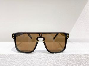 Классические солнцезащитные очки Waime Matte Brownbrown Pilot Glasses Солнцезащитные солнцезащитные очки для мужчин Женские солнцезащитные очки UV защита E4544843