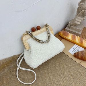 Drawstring Acrylic Chain Women's Handbag 2024 Winter Plush Clip Bag Fashion Simple Shoulder Diagonal Brand Design Female Crossbody Bags