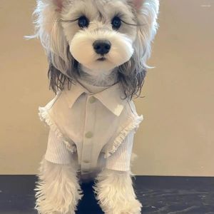 Собачья одежда для кошачья джинсовая куртка мода белая одежда жгут жилетки для домашних животных для домашних животных тадди шнаузер весенняя осенняя одежда