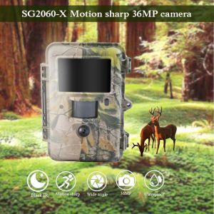 Cameras Bolyguard Hunting Trail Camera Wildlife Photo Trap 1080phd 36mp Black Infrared Scouting 100ft Motion Sharp Thermal Imager Camera