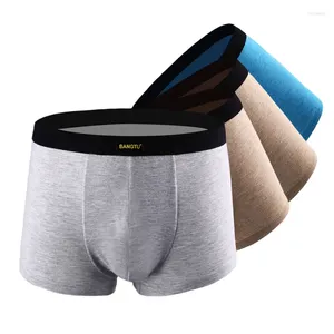 Underpants 2024 Men Boxer Shorts Cotton Underwear Panties Male Big Size Breathable Comfortable Brand