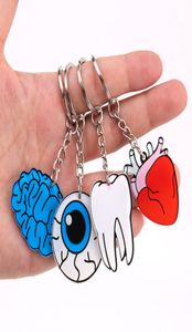 Ny Organ Heart Keychain Brain Eyes Tandnyckelkedja Kvinnor och män Söt anime Tecknad barn Key Ring Gift Porte CLEF5642793