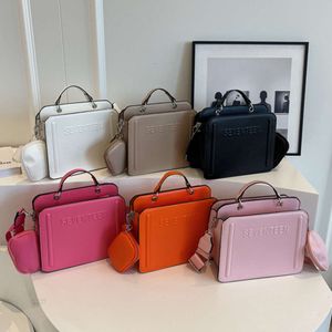 Bolsas Para Mujer Steve Tote Bags Ladies Purses and Handbags Luxury Women Hand Designer Famous Brands