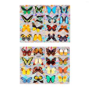 Decorações de jardim Janela arco -íris se apegar ao Anti Bird Collision Butterfly Decaling Decal