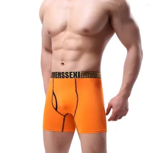 Underpants High Quality MENSSEXI 2024 Long Briefs Underwear Nylon Hombre Fitness Mens Sport Shorts
