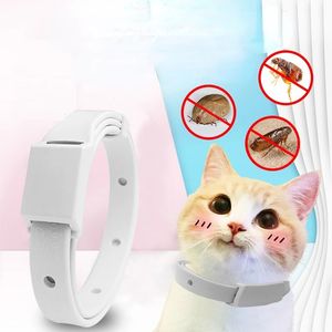 Anti -Floh -Zeckenkragen für Katze kleiner Hund Antiparasitisch 8 Monate Schutz einstellbarer Welpe Kätzchen Halsband Breakaway Pet Accessoires