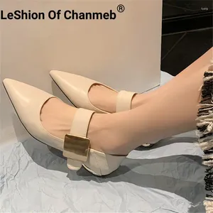 Lässige Schuhe Leshion von Chanmeb Frauen echte echte Lederflats Gold Metall Dekoration Pointy Toe Mary Janes Damen Springschuhschuhe