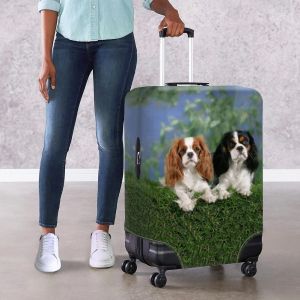 Accessoires Nopersonality Hundekoffer Deckung Reisegepäck Dachshund Shiba Inu Druck hochwertiger staubsicherer Beschützer für Trolley 2023 2023