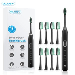 Heads Electric Sonic Toothbrush USB Charge Rechargeable Waterproof Sonic 5 Modes Electronic Tooth Travel 8 Brushes Replacement Heads