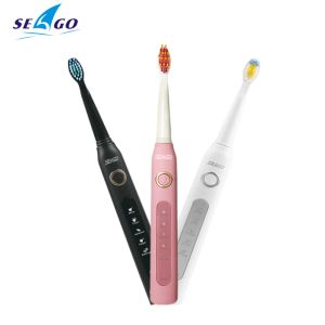 Heads Seago Ultrasonic Electric Tooth Brush Sonic Wave Clean USB uppladdningsbar tandborste med ersättningsborsthuvuden 1 Handtag 3 huvuden