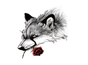 50pcs Wolf Tattoo Sticker Lion King Tiger Fake Tattoo Temporary Waterproof Men Boys Shoulder Arm Chest Back Big 210x148mm9717435