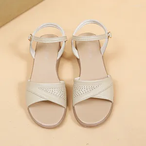 Lässige Schuhe niedrige Ferse flach mit modernen Sandalen Schnalle -Gurt erwachsene Damen im Verkauf 2024 Solid Shallow Damen Frauen