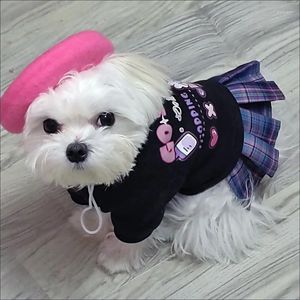 Dog Apparel Pet Supplies Party R Beret Hat Hat Decoração Capacete de Doll Cap para Kitty Small Puppy Roupfits Hats