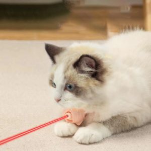 Giocattoli nuovi prodotti all'ingrosso divertenti divertimenti auto intrattenimento giocattolo gatto giocattolo interattivo gatto collare laser