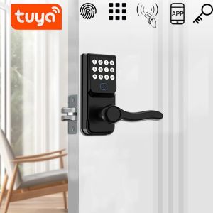 Kontrollera digitalt elektroniskt låsfingeravtryck Dörrlås Biometriskt lösenord Keyfritt Entry Smart Dörrlås för hem Eventuell dörr