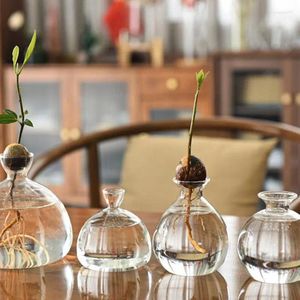 花瓶透明なアボカドガラス成長する花瓶植物シードスターターガーデニング愛好家のための家の装飾ギフト