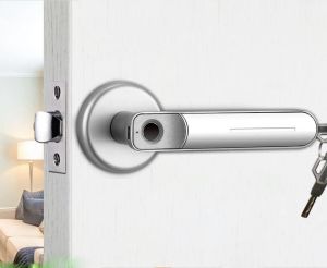 Control Fingerprint Door Lock Electronic Biometric Smart Deadbolt Keyless Entry Digital Lock for Key Handle Door Lever