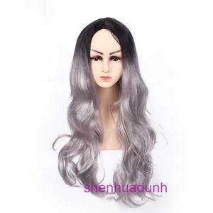 女性のためのデザイナーの人間のかつらの髪grayは徐々に長い巻き毛で色を変え、真ん中に大きな波